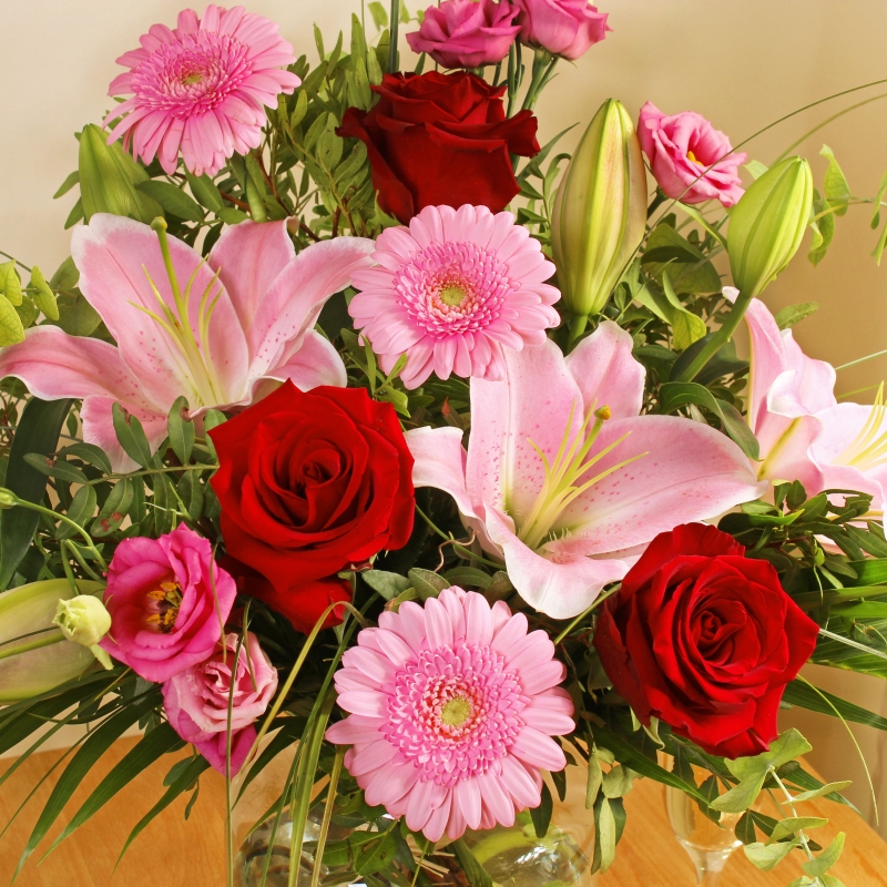 Wild About You Handtied