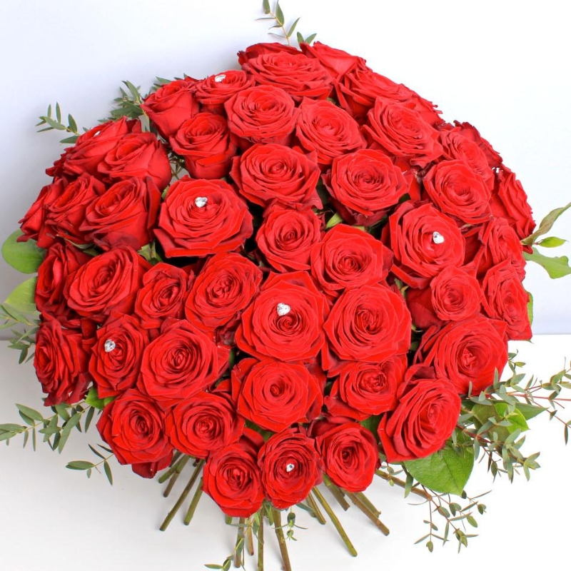 Devoted 50 Red Roses