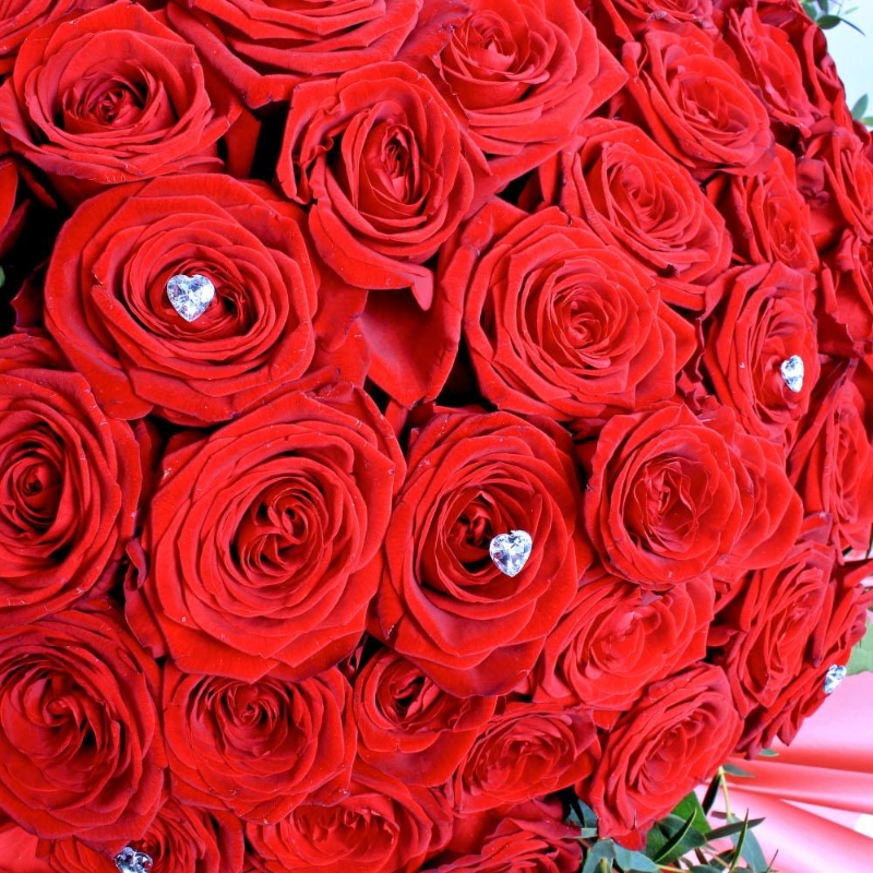 Unforgettable 100 Red Rose Handtied