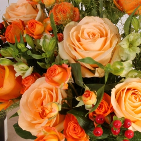 Autumn Flowers