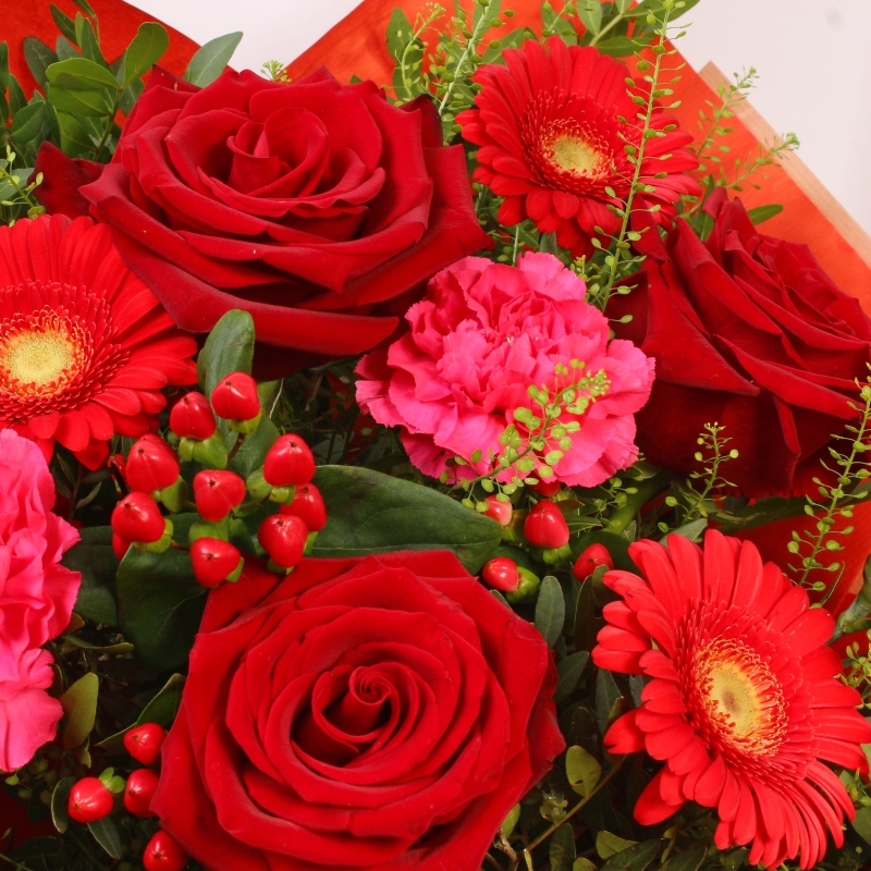 Juliet Giftbox