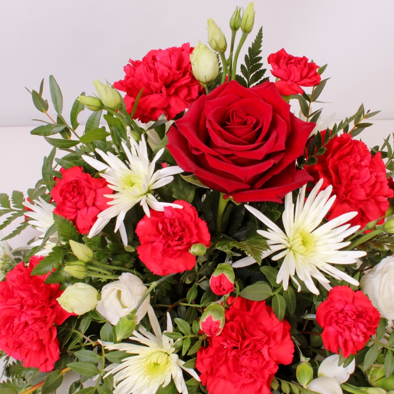 Red and White Posy