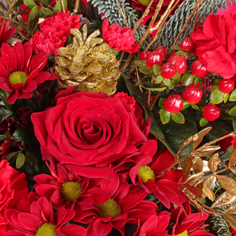 Santas Little Helper