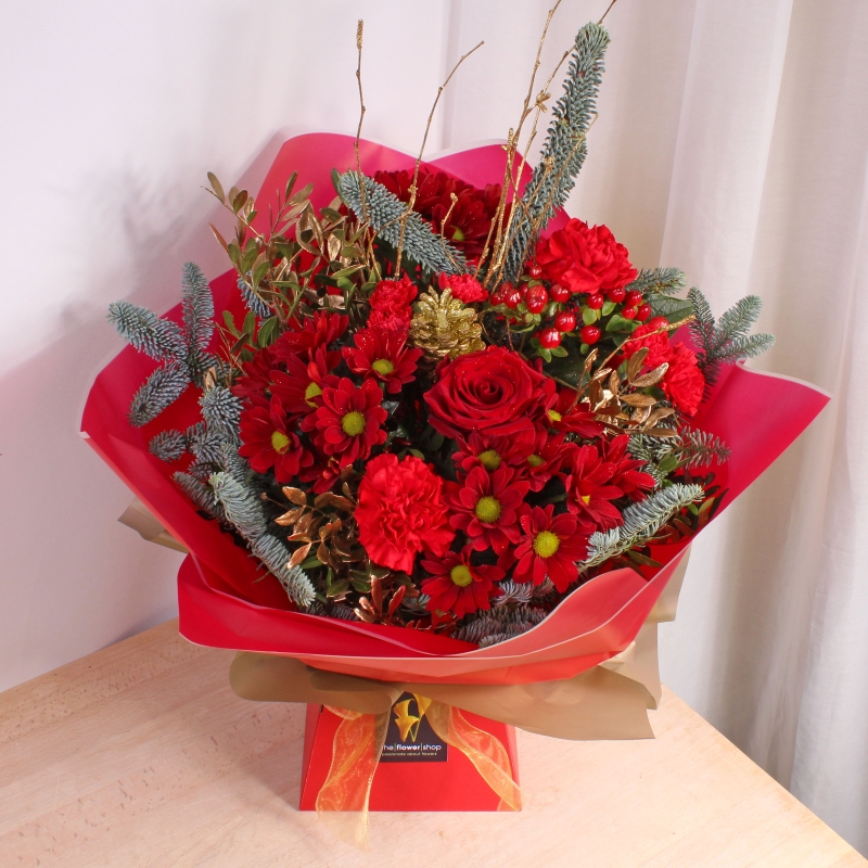 Santas Little Helper