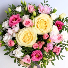 Pastel Hatbox