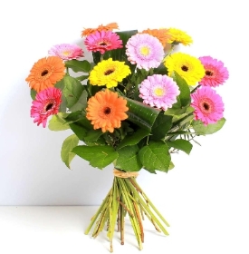 Vibrant Germini Hand tied