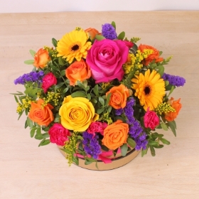 Beaming Brights Hatbox
