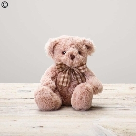 Rose Blush New Baby Hatbox with James Junior Bear