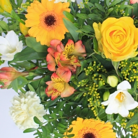 Sunshine Giftbox