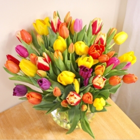 50 Mixed Tulips