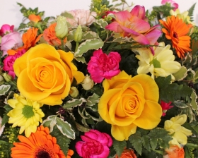 Bright and Pretty Spray