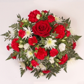Red and White Posy