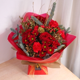 Santas Little Helper