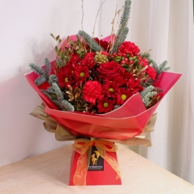 Santas Little Helper