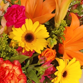 Sunny Floral Days